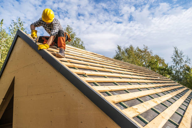 Best Sealant for Roof  in Tok, AK